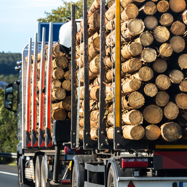 firewood logs loaded into truck