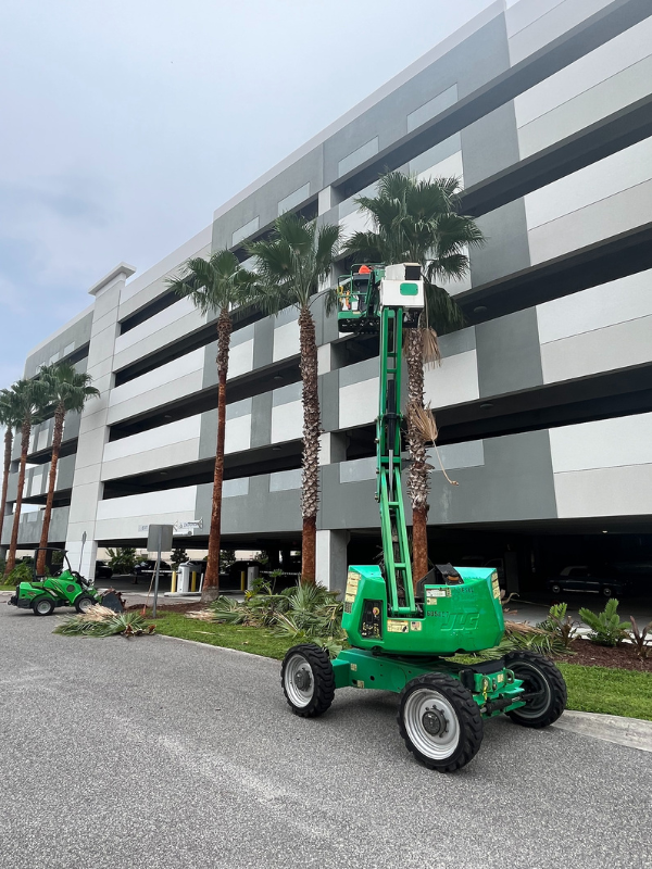 lift of All Southern Outdoor completing tree service in Longwood, Florida