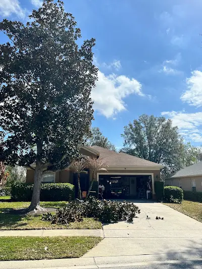 All Southern Outdoor crew performing tree trimming service safely