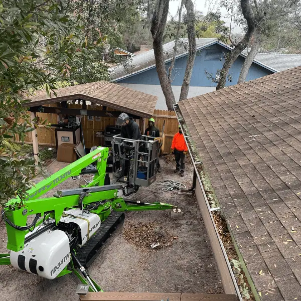Professional tree service in Seminole County FL with polite crew and cleanup
