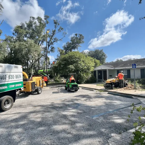 Affordable tree trimming and tree removal service in Seminole County FL
